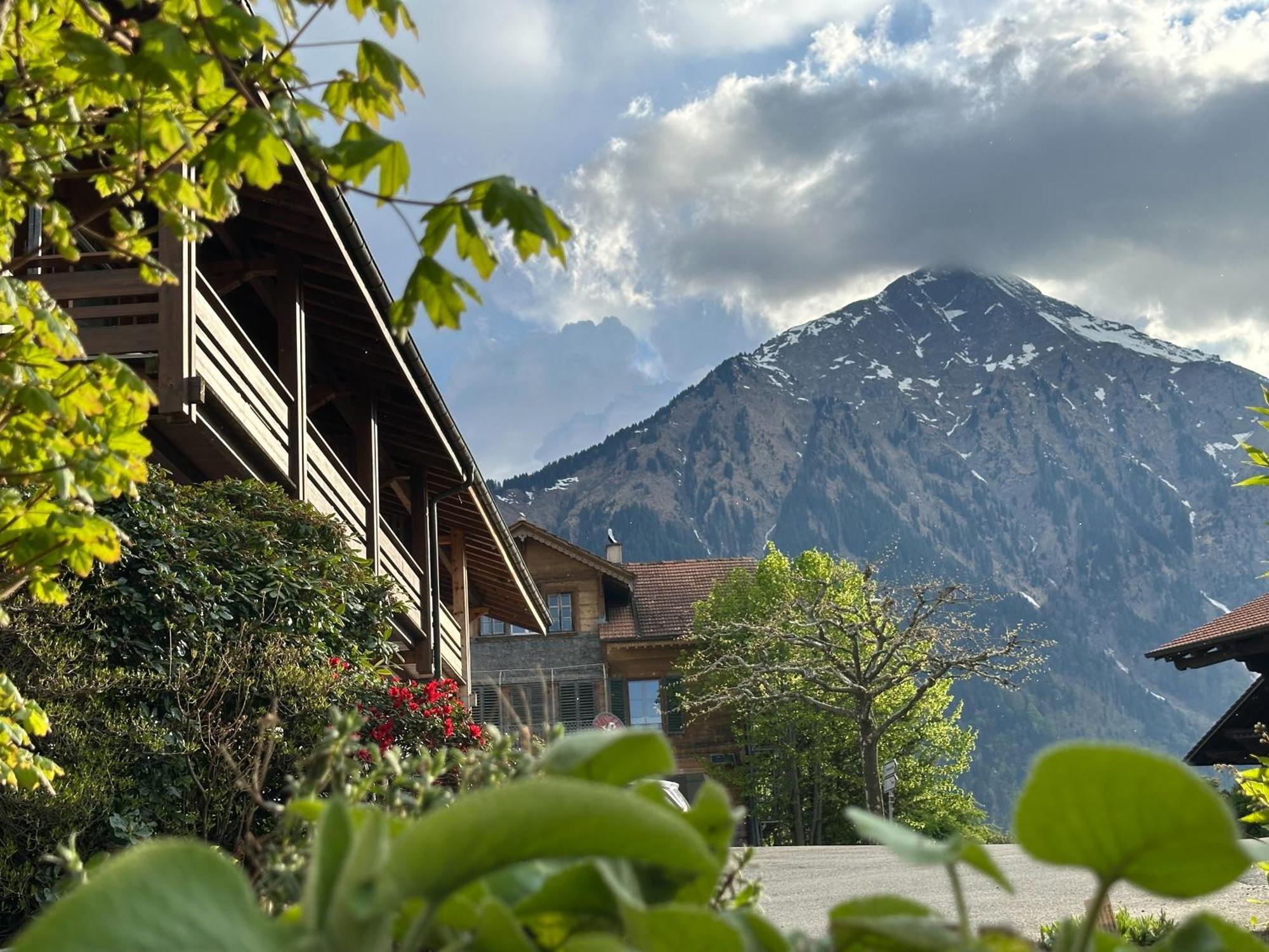 Hotel Aeschipark Aeschi Bei Spiez Екстериор снимка